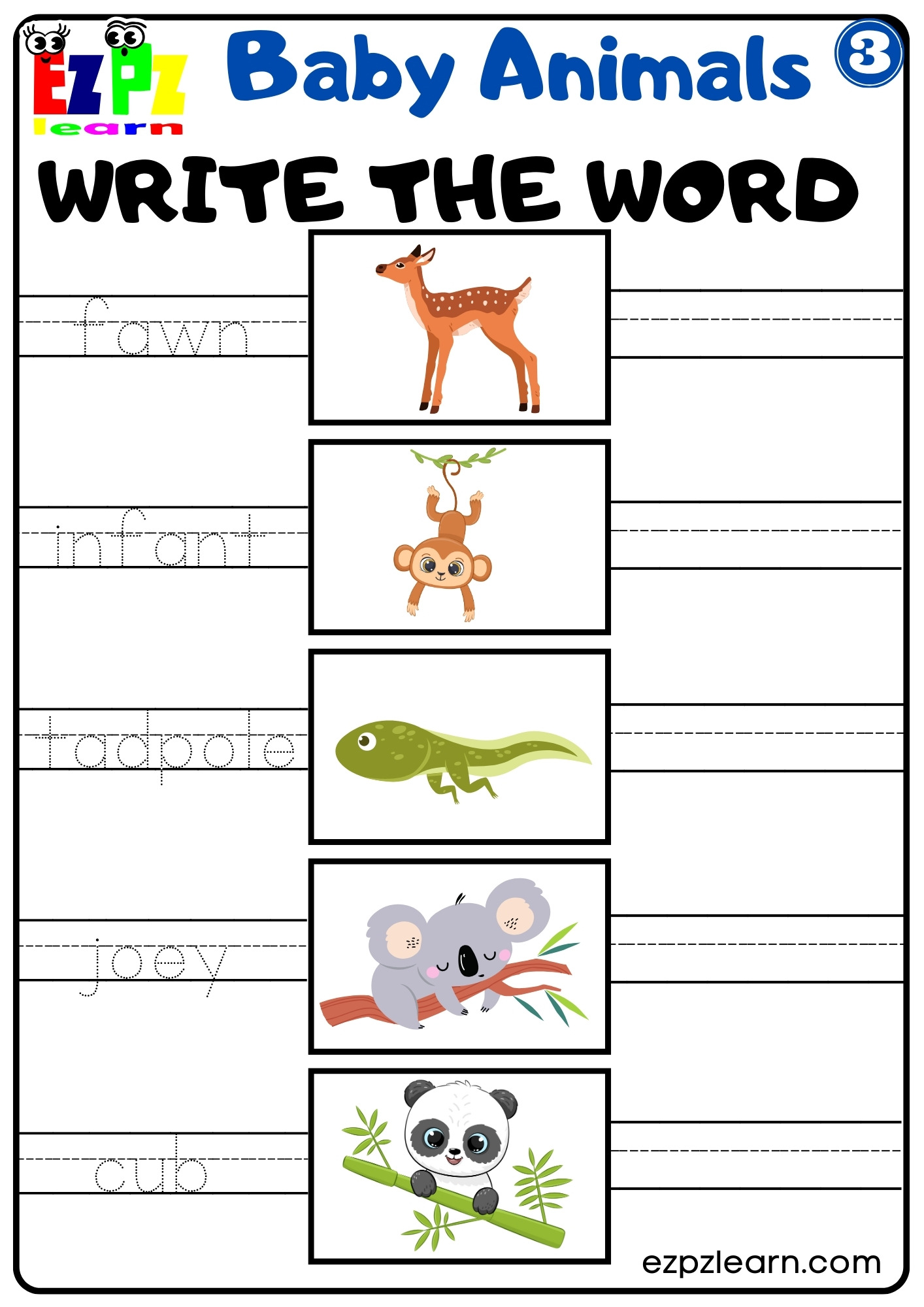 Baby Animals Vocabulary Write The Words Activity For English Language